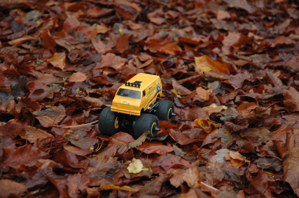 DSC_0039.JPG - jungle bashing