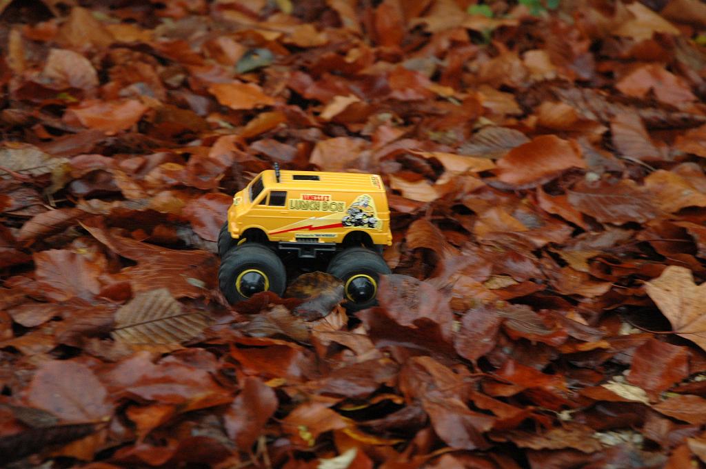 DSC_0040.JPG - forest bashing