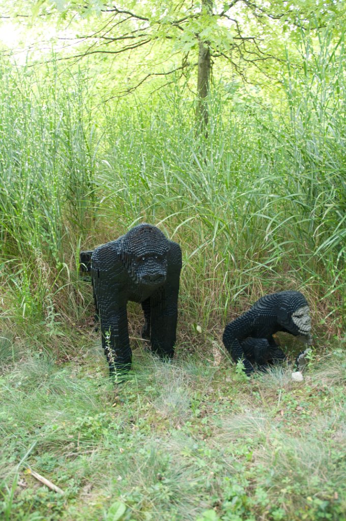 allemagne_2011-970