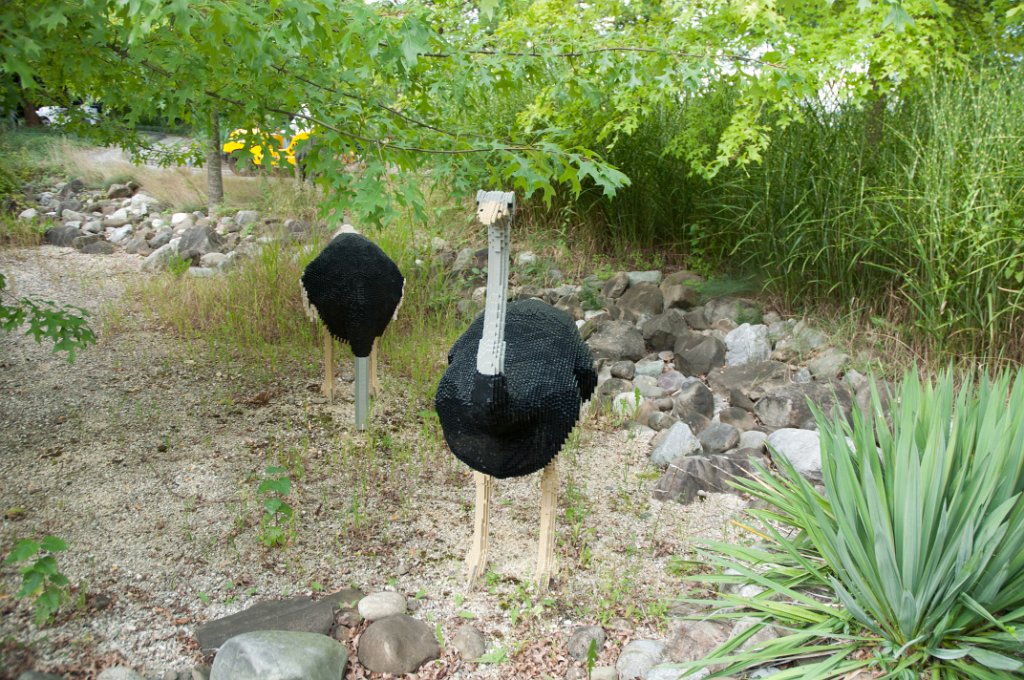 allemagne_2011-971