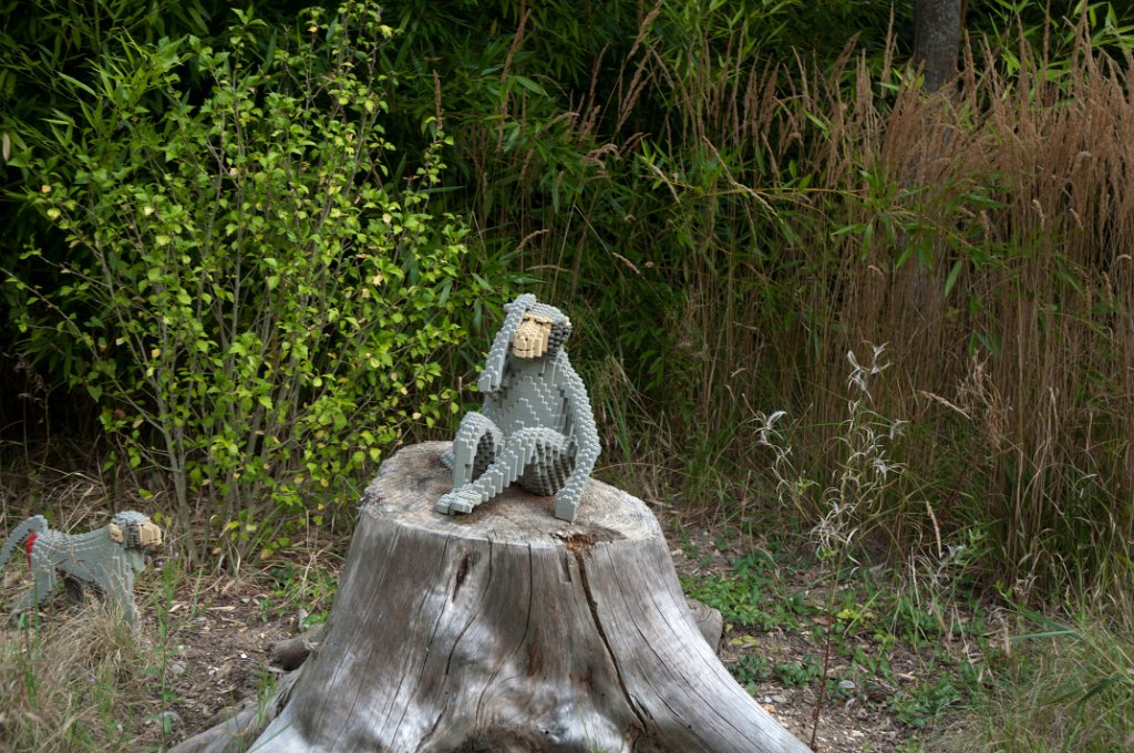 allemagne_2011-972