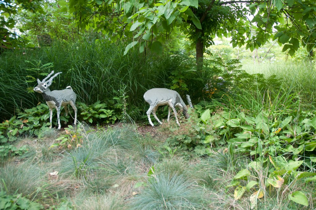 allemagne_2011-974