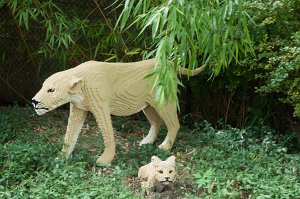 allemagne_2011-968