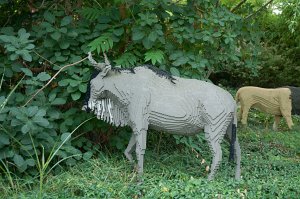 allemagne_2011-969