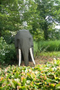 allemagne_2011-975